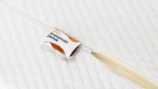Anatomski jastuk